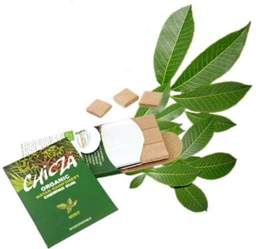 chicza mint organic gums